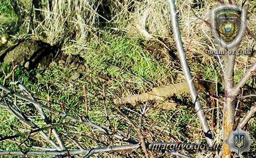 Житель Мариуполя обнаружил в своем огороде гранату