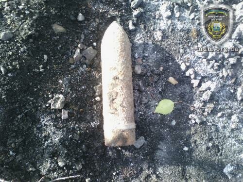 В Мариуполе в лесополосе найден снаряд