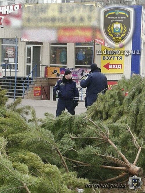 Мариупольские полицейские ликвидировали незаконный елочный базар на площади Кирова 